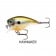 Rapala BX Brat
