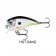 Rapala BX Brat