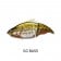 Megabass Vatalion 190 (SF) Lure