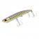 Bone Entice Topwater 110mm Lure