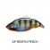Megabass Vatalion 190 (SF) Lure