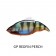 Megabass Vatalion 190 (SF) Lure
