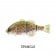 Jackall Chibitarel Jointed Swimbait