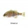 Jackall Chibitarel Jointed Swimbait