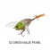 Chasebaits Ripple Cicada Lure