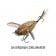 Chasebaits Ripple Cicada Lure