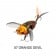Chasebaits Ripple Cicada Lure