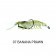 Chasebaits Flick Prawn Lure