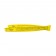 ICatch Double Fish Ruler