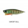 Duo Realis Popper