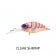 Jackall Diving Chubby Deep Suspending SW
