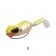 OSP Drippy Lure