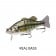 Biwaa Swimbass Lure