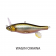 Megabass Anthrax Lure