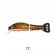 Taylor Made Terapont Lure