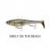 Rapala X-Rap Peto
