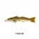 MMD Whiting Glide 180 Floating Lure