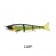 Jackall Gantia Jointed Suspending Swimbait