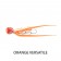 Storm DoCan Snapper Ball Jig