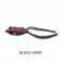 Storm SX-Soft Bull Frog Lure