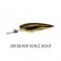 Jaz Lures Rapide Deep - 90mm