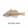 Jackall Chibitarel Jointed Swimbait