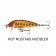 Rapala Countdown