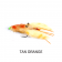 Manic Mangrove Crab Fly