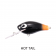 Jollip Lures Ripper 60DR Lure