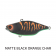 Profishent Vixen Vibe Heavy Lure