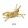 Flyzinc Alphlexo Crab Fly