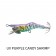 Little Jack Hanebix Squid Lure
