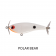 Jollip Lures Naka Fizzer Lure