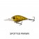 Fish Craft B-Cranky 38M Lure