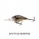 Fish Craft B-Cranky 38M Lure