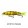 Fish Craft Squirmer 70 Lure