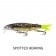 Fish Craft Squirmer 70 Lure