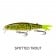 Fish Craft Squirmer 70 Lure