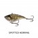 Fish Craft Dirty Dr Lure