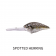 Fish Craft Hound Dog Lure