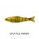 Fish Craft Dr Glide Lure - 76mm