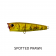 Fish Craft Snoop Pop Lure