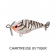 Fish Craft Fizz Bug 38 Lure