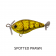 Fish Craft Fizz Bug 38 Lure