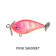 Fish Craft Fizz Bug 38 Lure