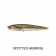 Fish Craft Skatter Stick 127 Lure