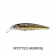 Fish Craft Jerkman Lure