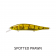 Fish Craft Slim Shady Lure - 115mm