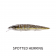 Fish Craft Slim Shady Lure - 160mm