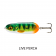 Rapala Nauvo Spoon Lure